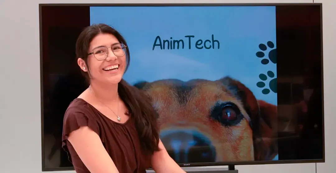 Captura de pantalla de AnimTech