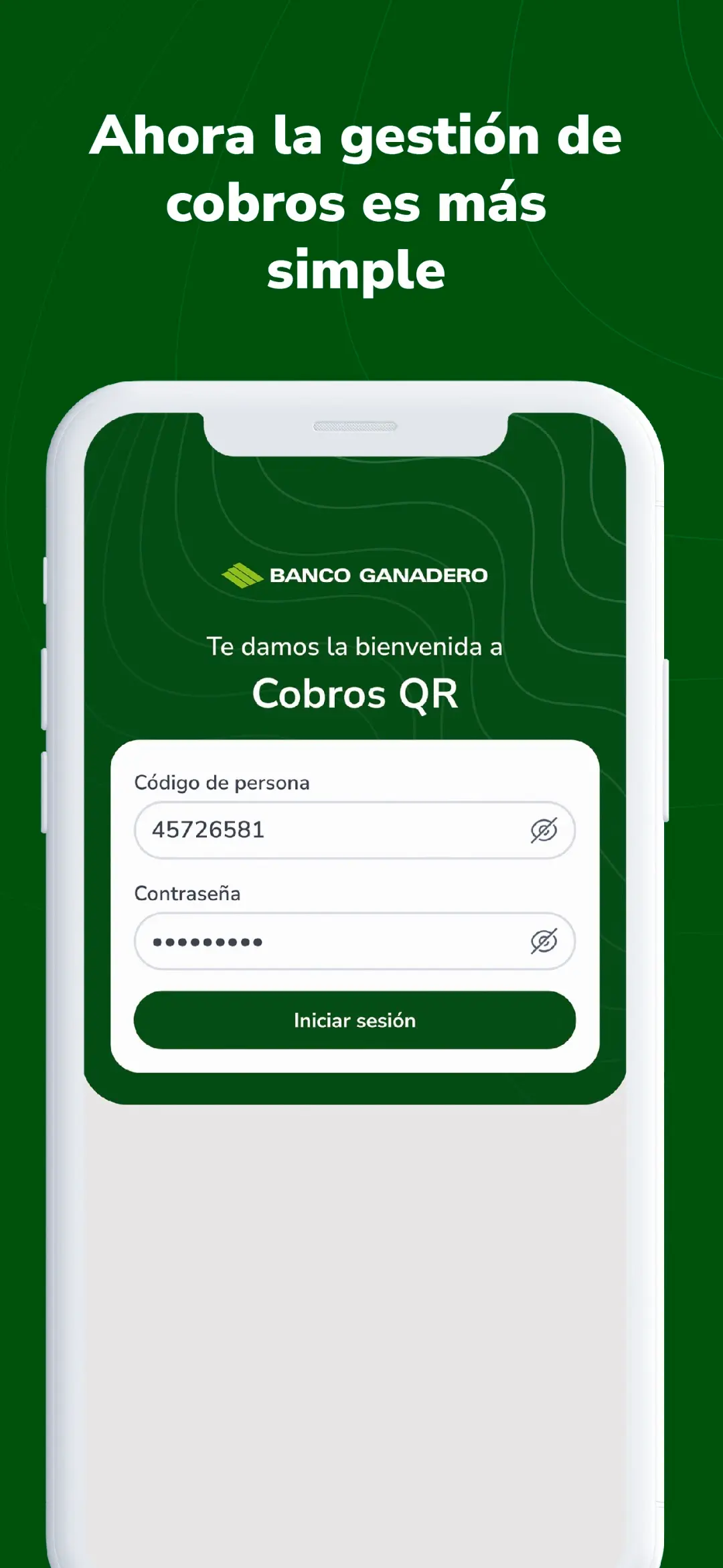 Captura de pantalla de Cobros QR