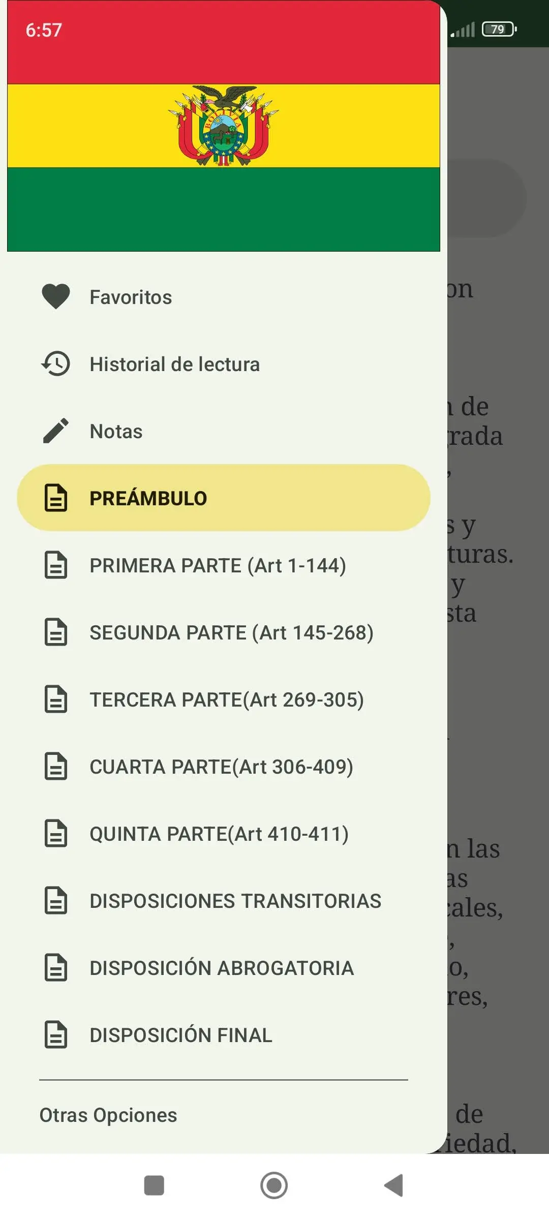 Captura de pantalla de Constitución de Bolivia