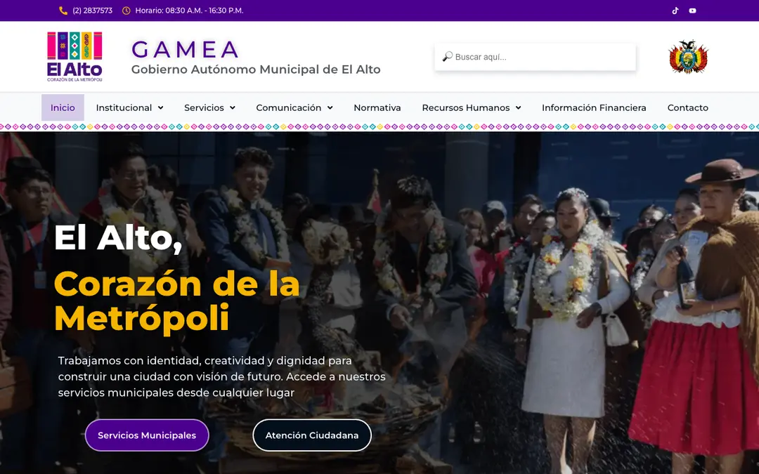 Captura de pantalla de Control Transporte El Alto