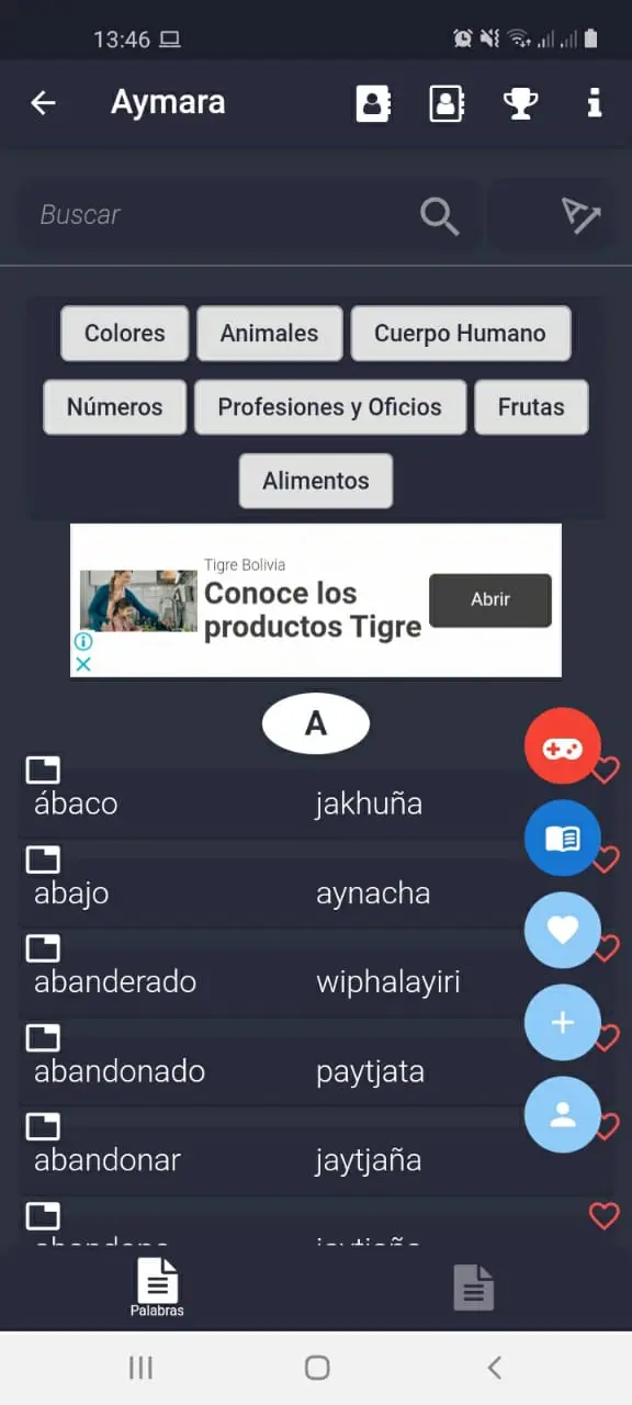 Captura de pantalla de Diccionario Aymara (Mingatics)