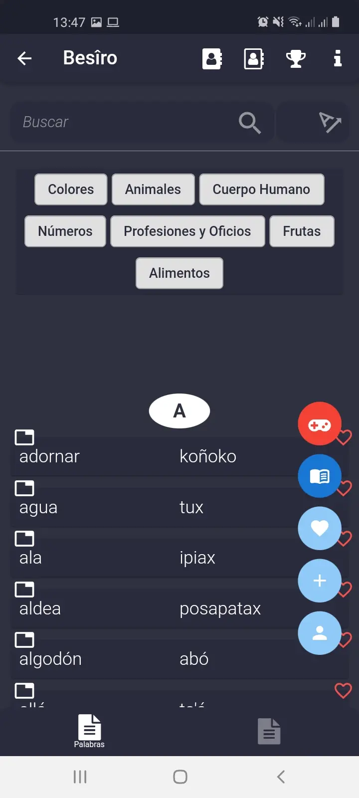 Captura de pantalla de Diccionario Besiro