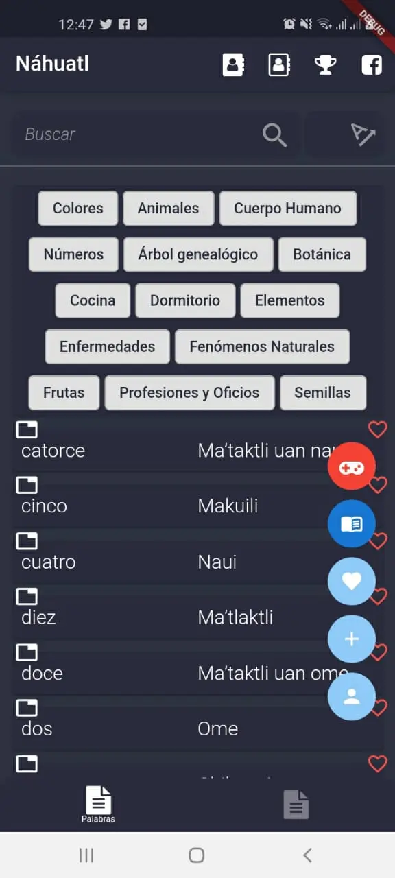Captura de pantalla de Diccionario Nahuatl