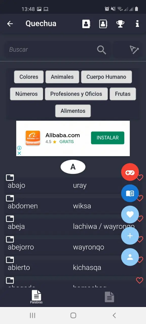 Captura de pantalla de Diccionario Quechua (Mingatics)