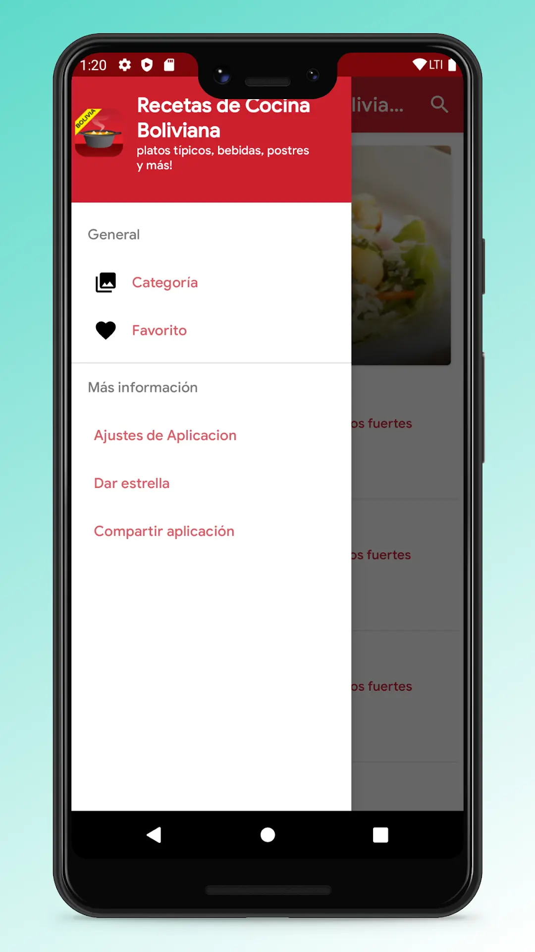 Captura de pantalla de Recetas de Cocina Boliviana